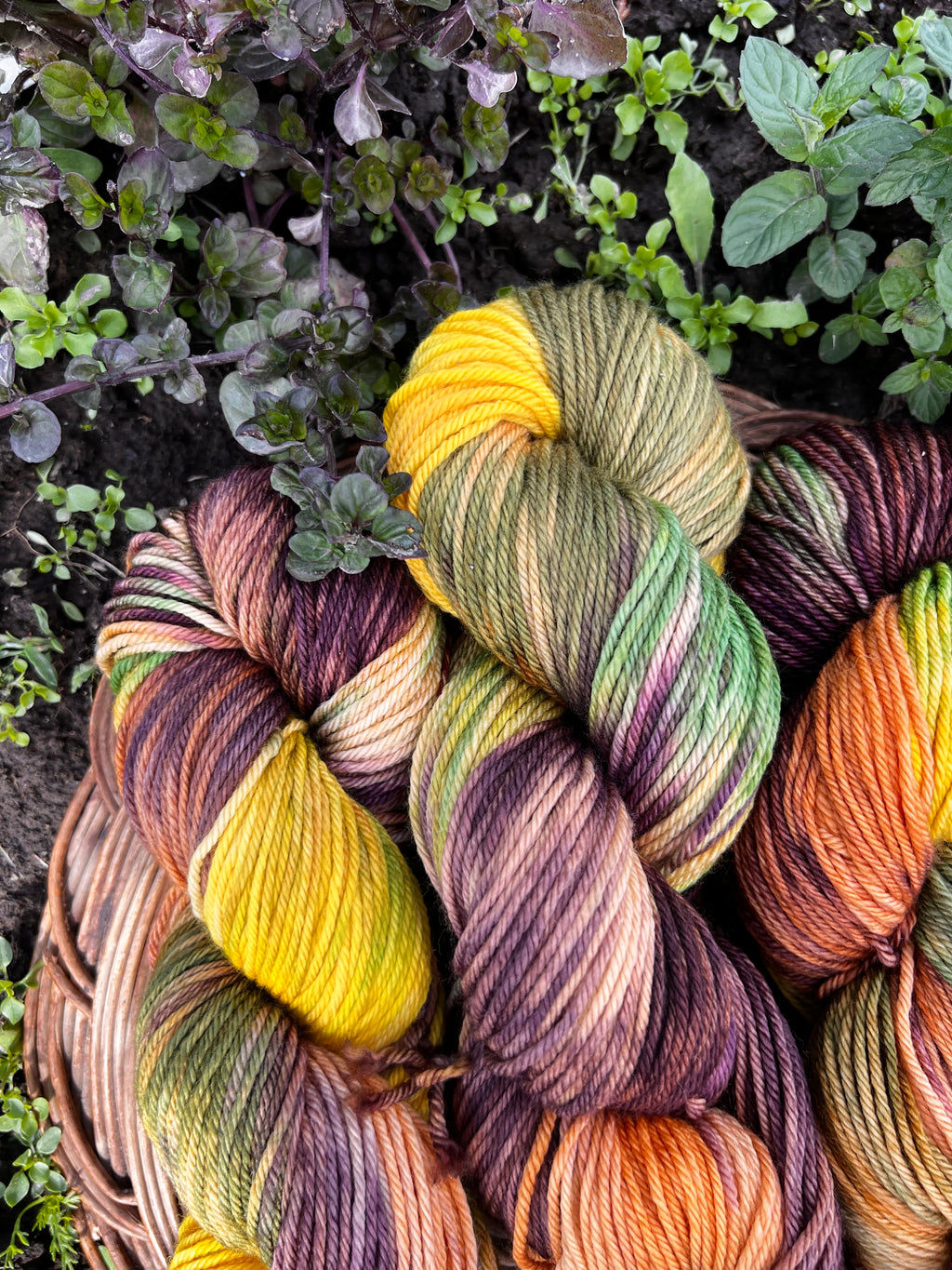 Homesteader's Garden