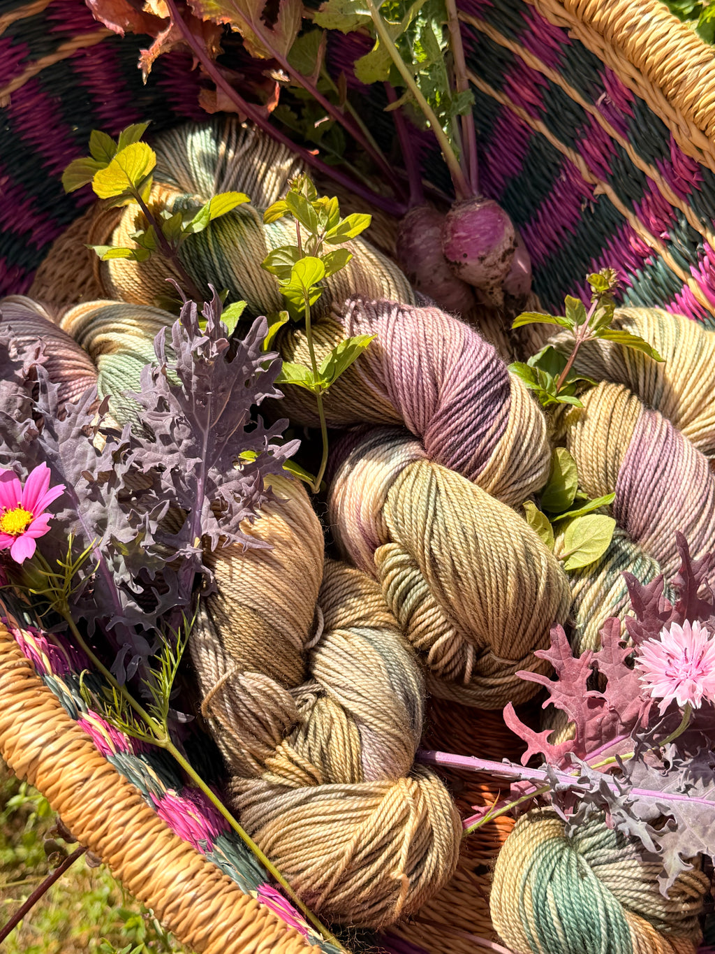 Forage & Harvest