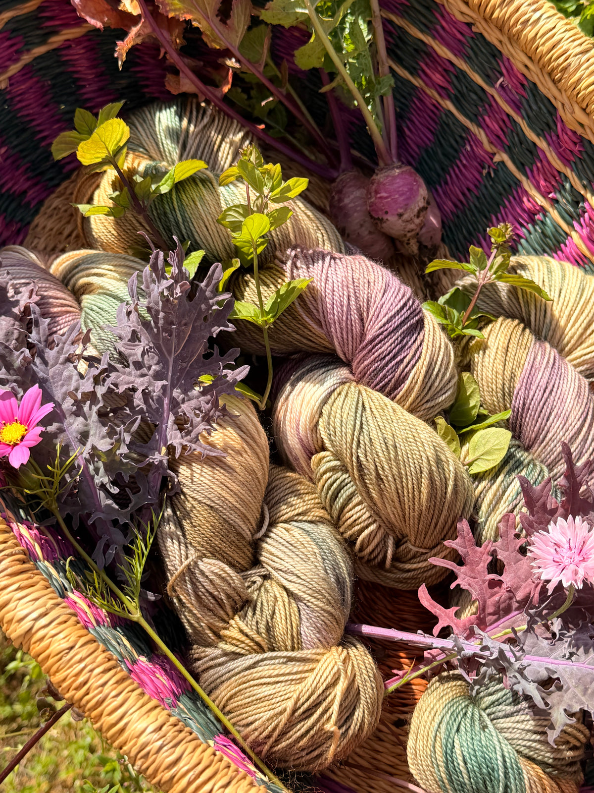 Forage & Harvest