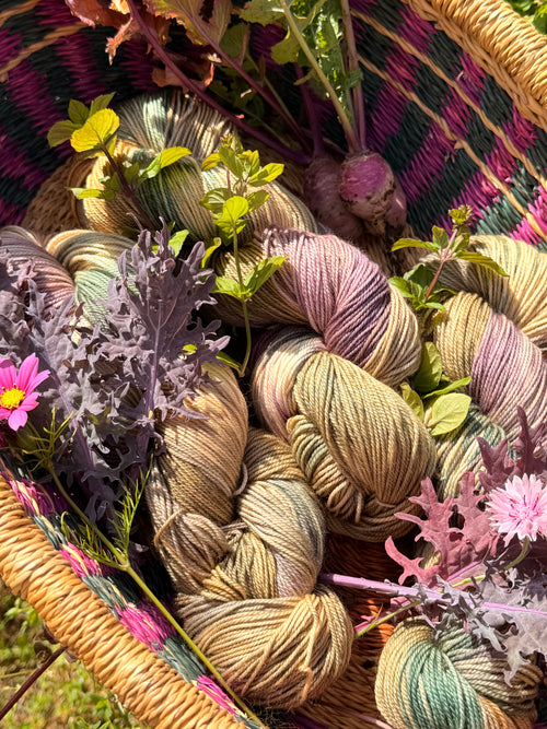 Forage & Harvest