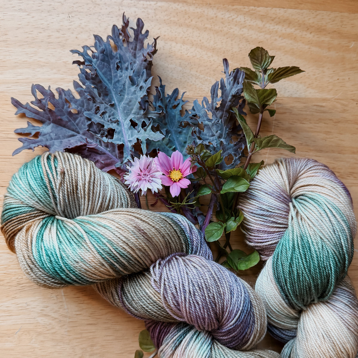 Forage & Harvest